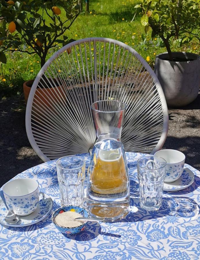 Villa Rosen - Ferienwohnungen Bad Reichenhall Zewnętrze zdjęcie