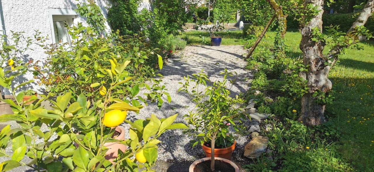 Villa Rosen - Ferienwohnungen Bad Reichenhall Zewnętrze zdjęcie