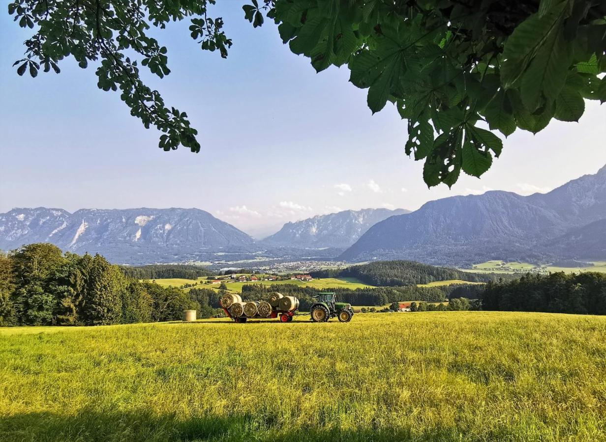 Villa Rosen - Ferienwohnungen Bad Reichenhall Zewnętrze zdjęcie