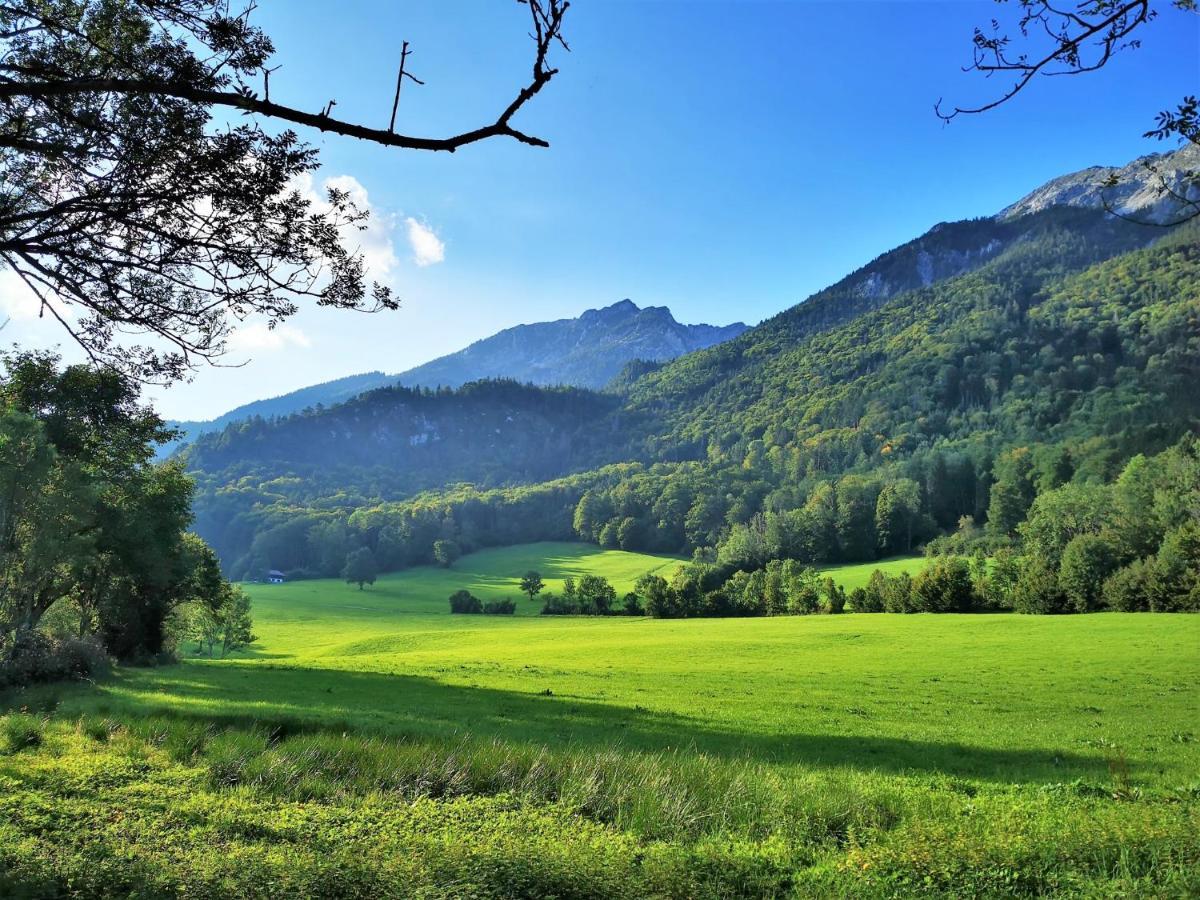 Villa Rosen - Ferienwohnungen Bad Reichenhall Zewnętrze zdjęcie